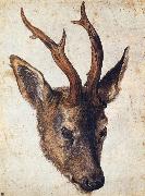 Albrecht Durer The Head of Stag oil painting artist